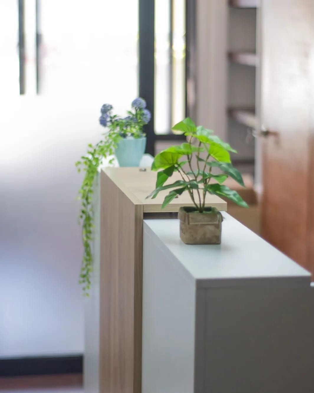 Detalle de mostrador con plantas artificiales y acabado en madera y blanco